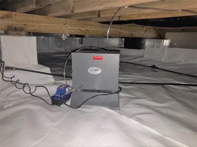 SaniDry Sedona Dehumidifier