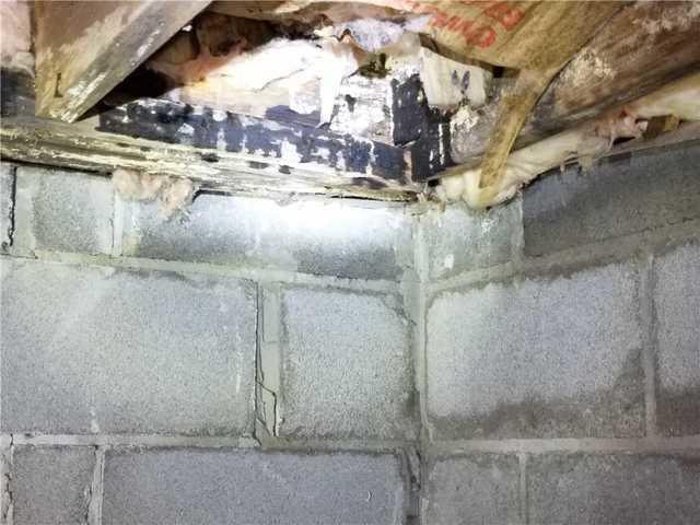 Rotted, moldy subfloors