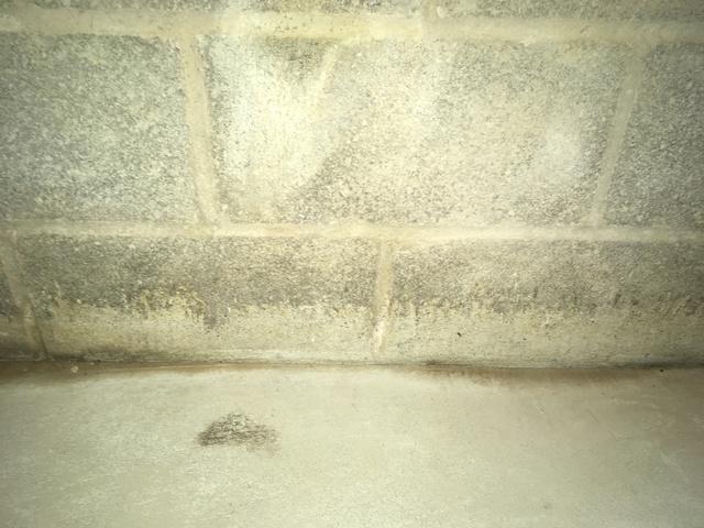 Efflorescence! Do you have white stuff on your cinder blocks in your basement?