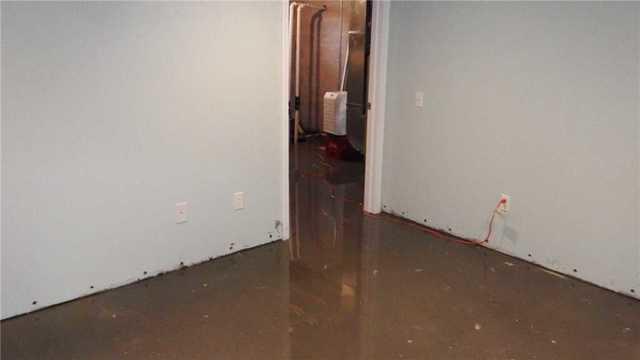 This Basement has Become a Swamp