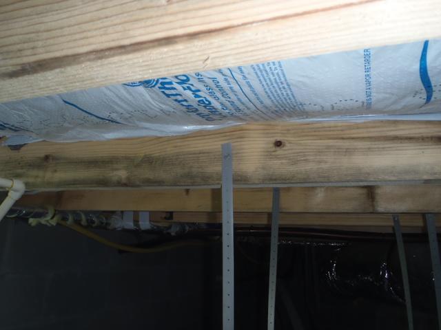 Sussex County Crawlspace Insulation