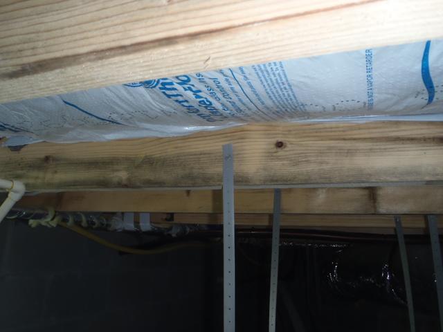 Sussex County Crawlspace Insulation