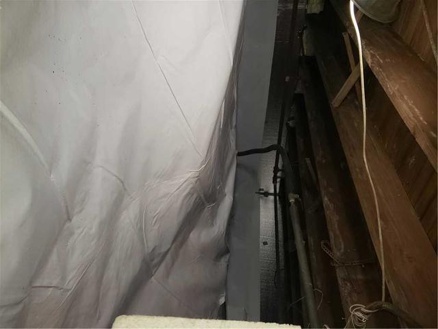 CleanSpace + SilverGlo