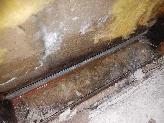 No More Mold
