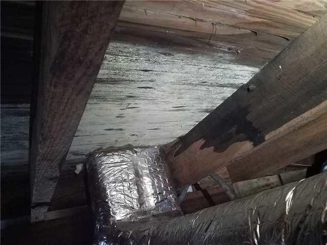 Damage from wood rot and mold