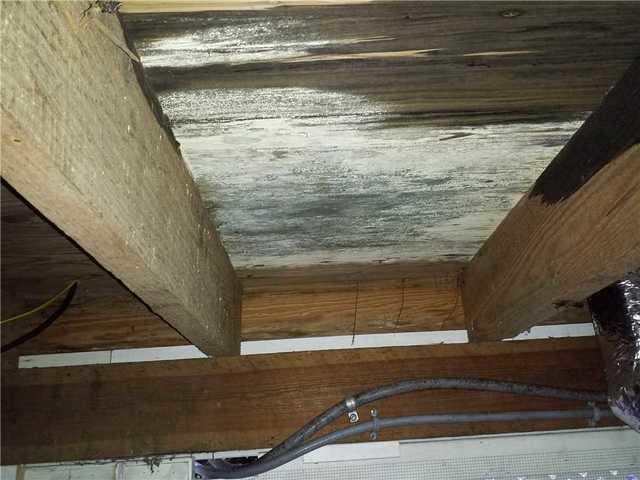 Mold grew on the wood after being exposed to moisture over time.