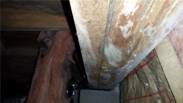 Mold and falling crawl space insulation