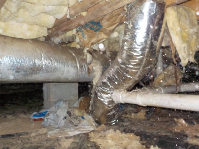 Unhealthy Crawl Space