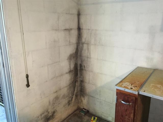 Black Mold Corner