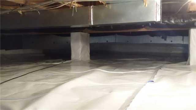 Look At The CleanSpace Difference