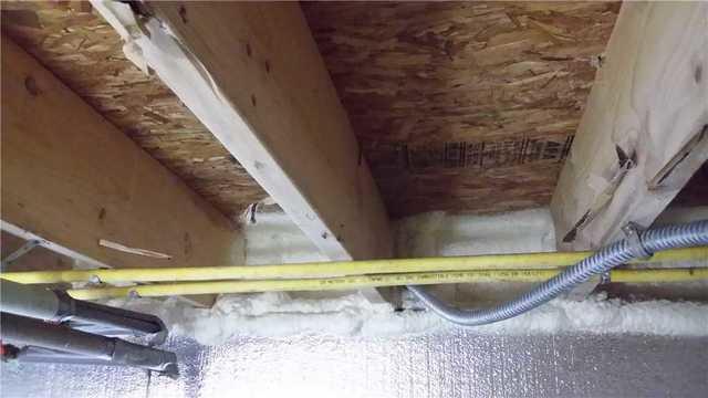 Out With The Moldy, In With The Healthy