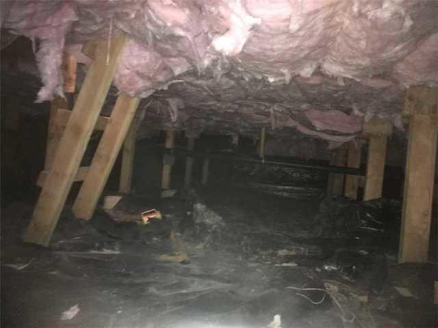 Falling insulation in Oregon City