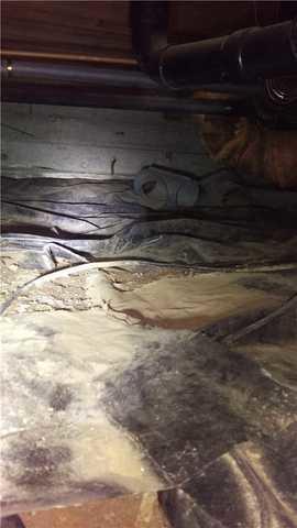 Grout Cleaning And Repair Portland Oregon Revivify Surface