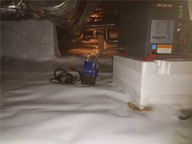 SaniDry Sedona dehumidifier