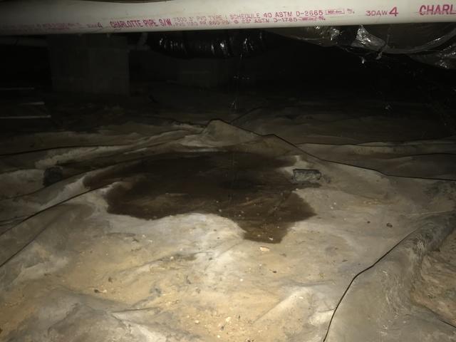 Moisture Puddling in Crawl Space