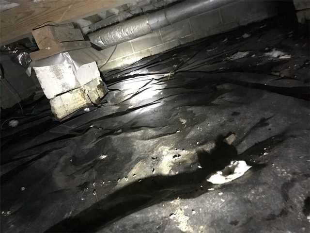 Standing Water in the Crawl Space