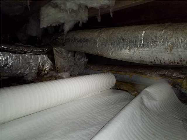CleanSpace Liner