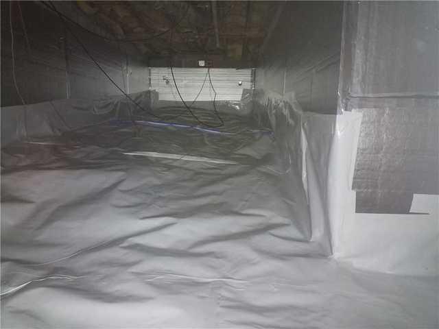 CleanSpace Liner