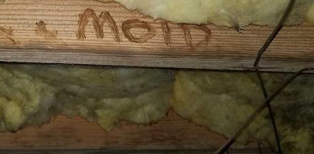Humidity Creates Opportunity for Mold to Grow