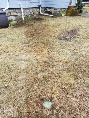 Discharge to a Pop-up