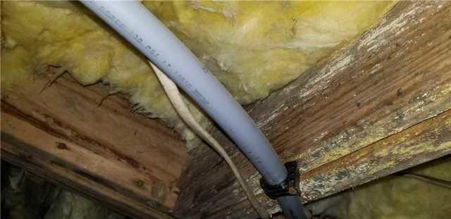 Moisture in Crawl Space Leads to Mold