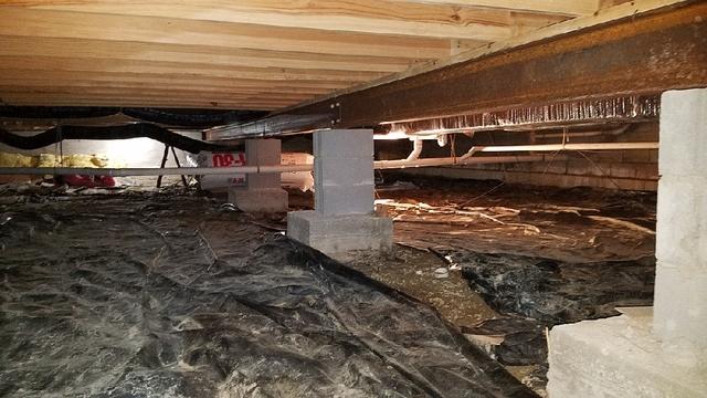 crawl damp cleanspace sanidry tackled fallon