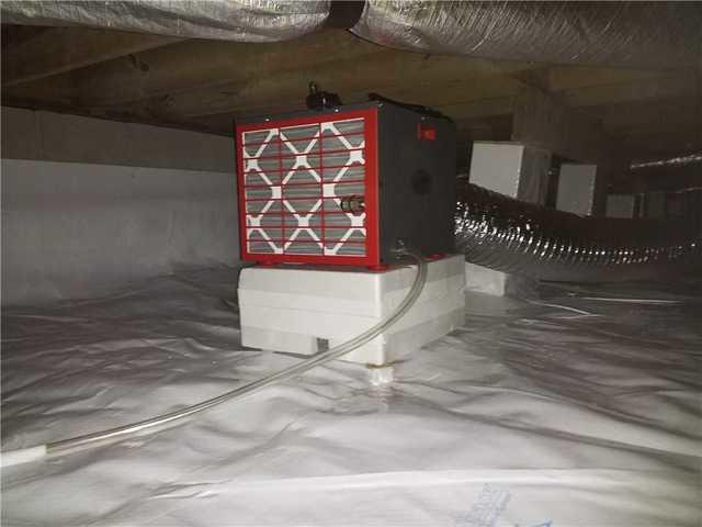 SaniDry Dehumidifer