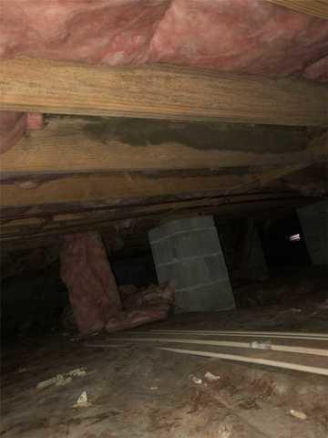 Mold on the Joists