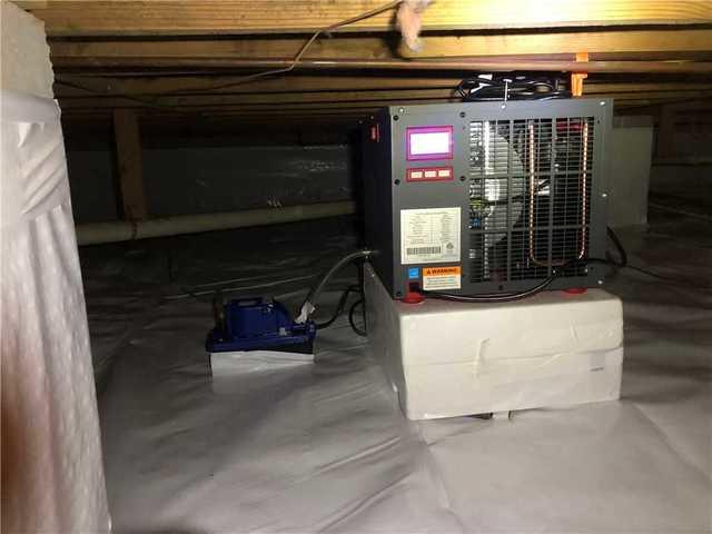 SaniDry Sedona Dehumidifier