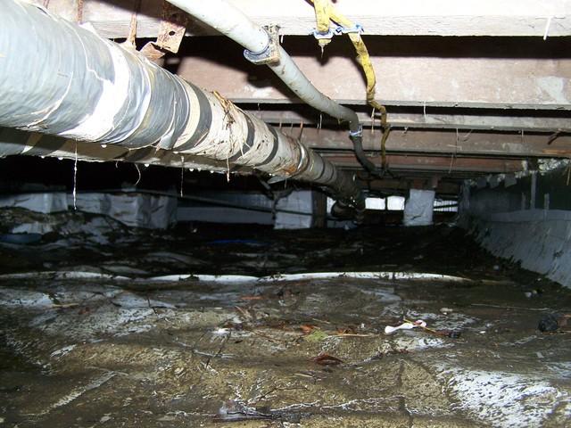 Crawl Space Clean Out Southport