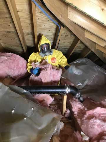 <p>great on the job photo of one of our Technicians working on an attic in Northbrook, IL</p>