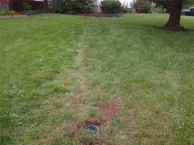 LawnScape Flemington, NJ