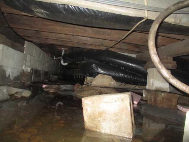 Standing Water