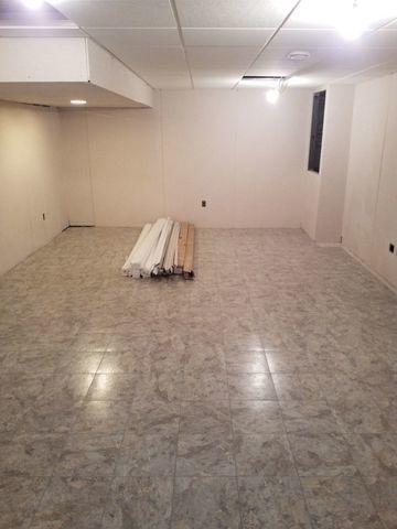 Woods Basement Systems Inc Basement Finishing Photo Album Basement Finishing In Urbana Il With Everlast Panels Thermaldry Flooring