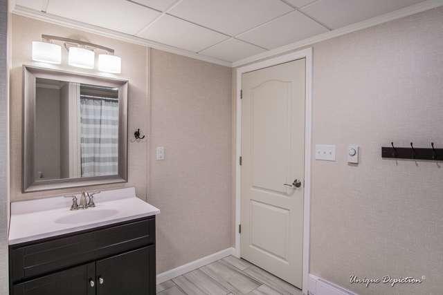 Luxurious Basement Bathroom