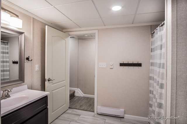 Luxurious Basement Bathroom