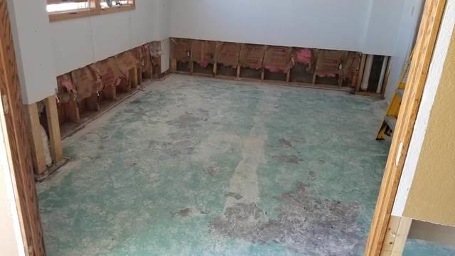 All the stuff hauled out and everything dried and cut out!