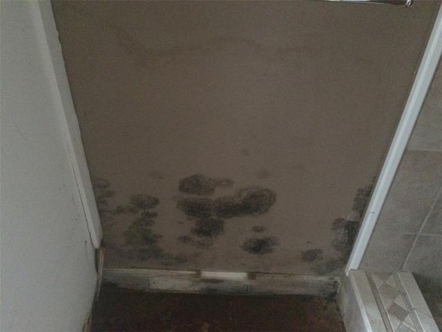 Mold Build Up