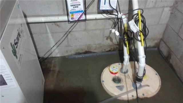 TripleSafe Battery Backup Pump