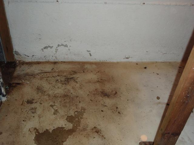 To prevent water damage in this Lake Stevens basement, we installed our WaterGuard piping system and inspection port, our SuperSump sump pump with the UltraSump battery back-up pump, and our CleanSpace wall system.