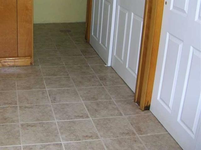 Wood Damage Carteret, NJ