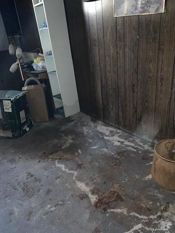 Before mold remediation