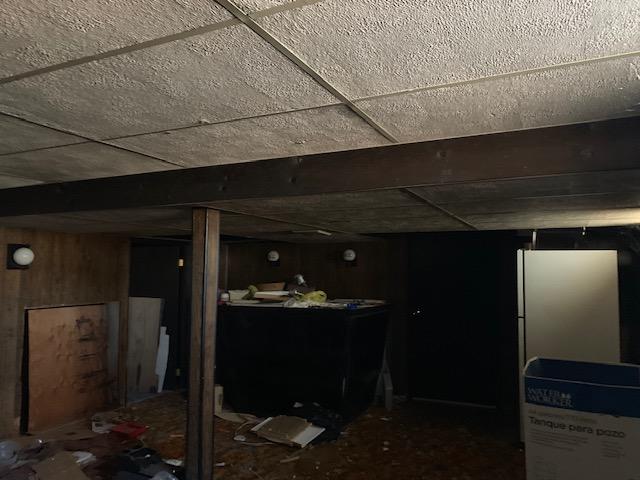 Before mold remediation