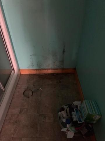 Before mold remediation