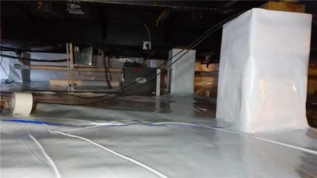 What Does CleanSpace Do?