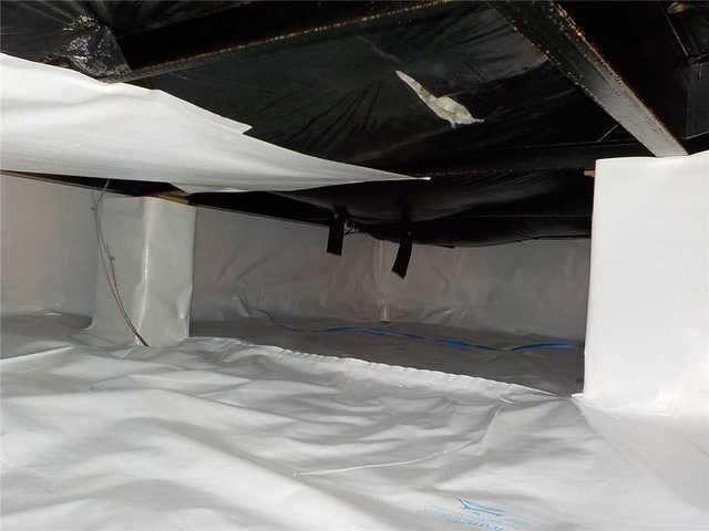 How Do We Solve These Issues?