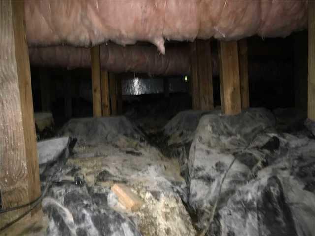 Moldy Vapor Barrier; Tualatin, OR