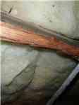 Extreme Wood Rot