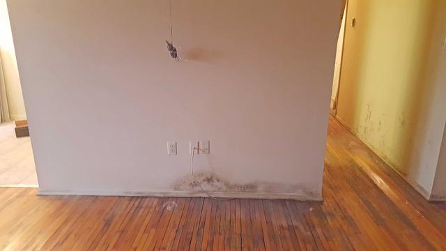 t's not just major flooding that leads to mold. Any water intrusion event such as slow leaks that aren't properly repaired can lead to mold growth. And it doesn't take long. Under the right conditions, mold can begin to grow and spread within 24 to 48 hours.