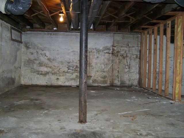 Moldy Basement in Westport, CT